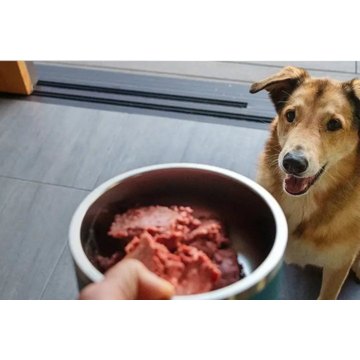 We Feed Raw
